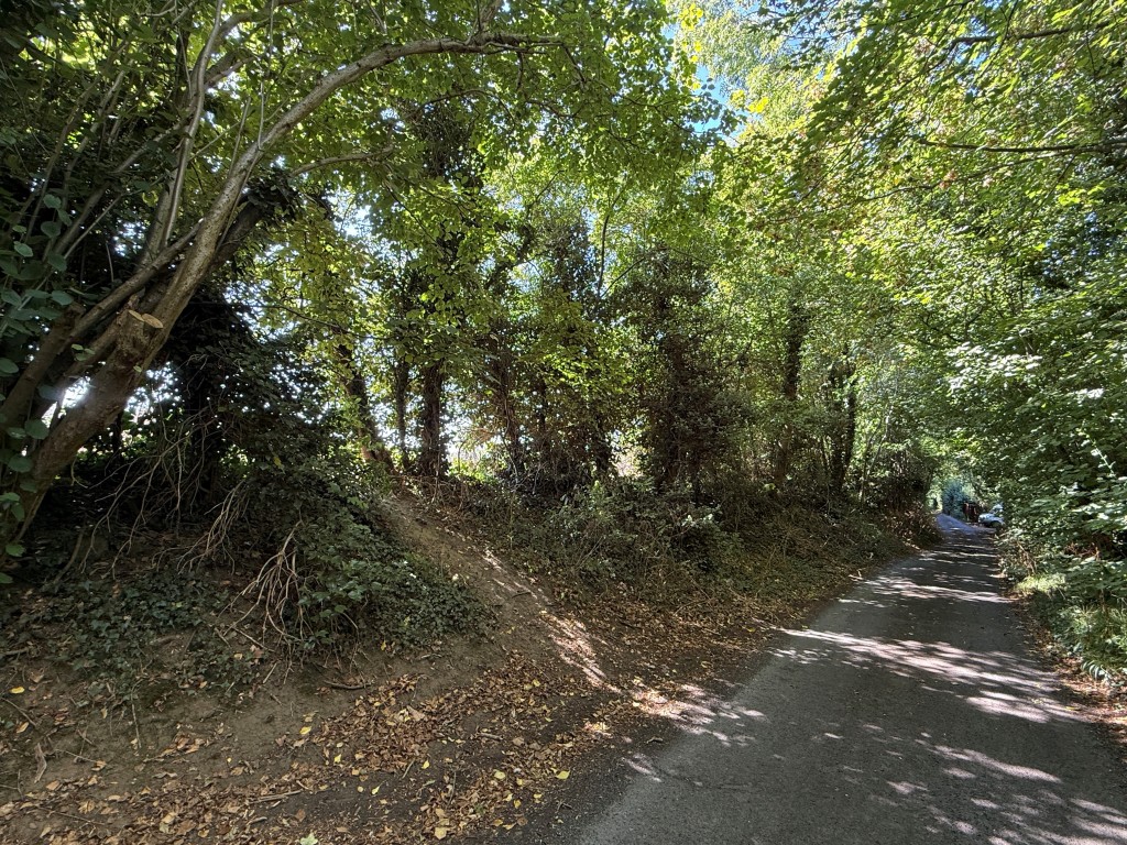 Lot: 8 - FOUR PARCELS OF LAND MEASURING APPROX FOUR ACRES - Land off Old Mill Road